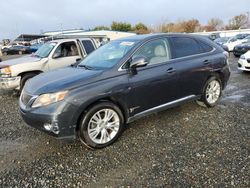 2010 Lexus RX 450H en venta en Sacramento, CA