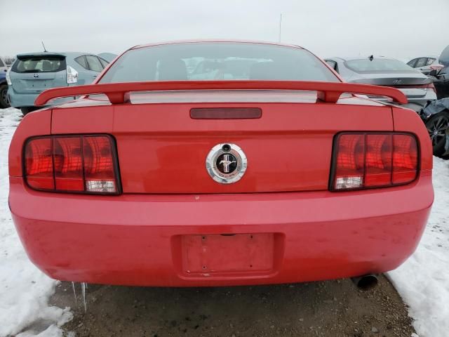 2005 Ford Mustang