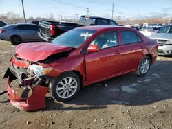 Toyota salvage cars for sale: 2009 Toyota Corolla Base