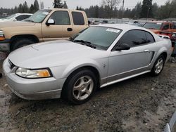 Ford Vehiculos salvage en venta: 2003 Ford Mustang