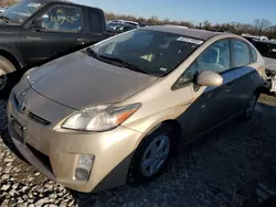 Toyota Prius salvage cars for sale: 2010 Toyota Prius