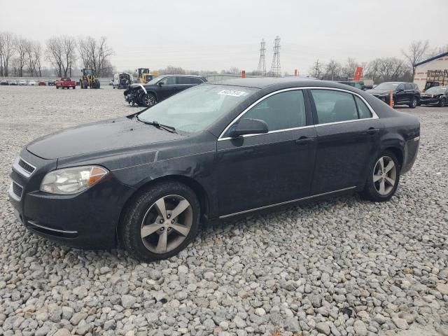 2011 Chevrolet Malibu 1LT