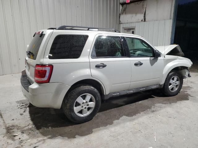 2009 Ford Escape XLT