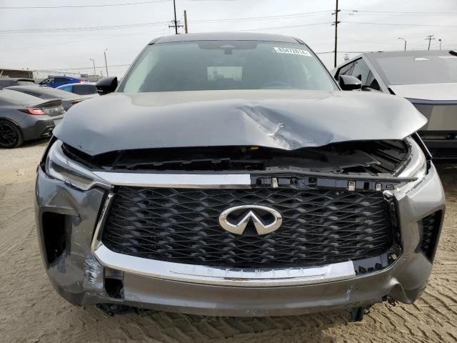 2024 Infiniti QX60 Pure