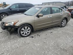 Honda Accord exl salvage cars for sale: 2008 Honda Accord EXL