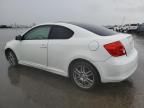 2006 Scion TC