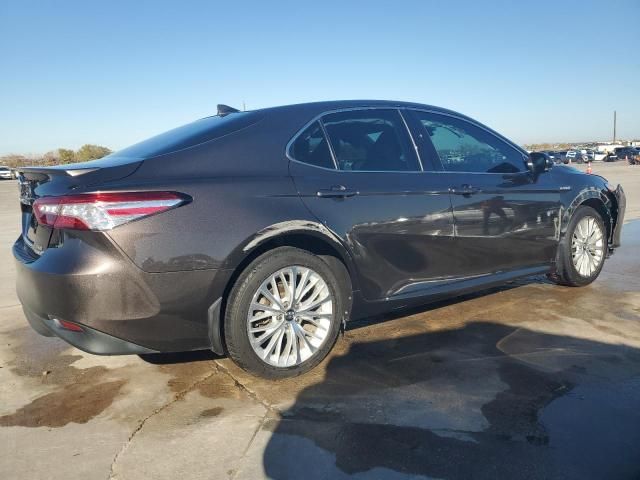 2019 Toyota Camry Hybrid