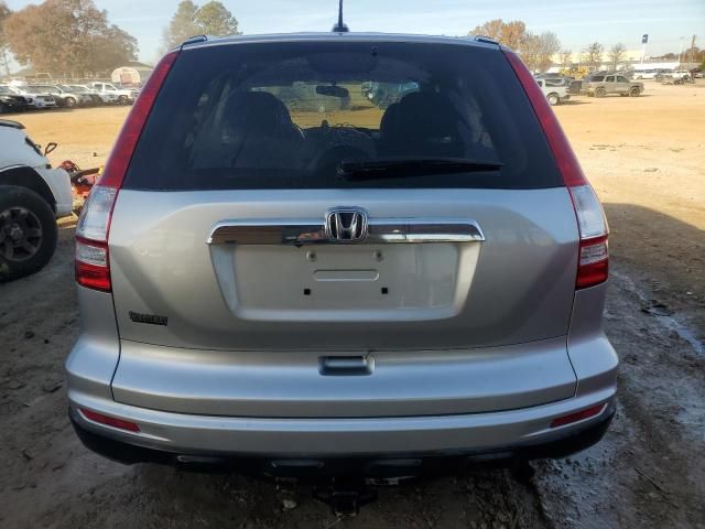 2010 Honda CR-V EXL