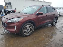 Salvage cars for sale at Portland, MI auction: 2021 Ford Escape SEL