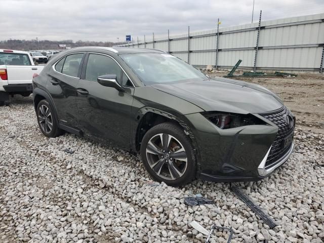 2019 Lexus UX 250H