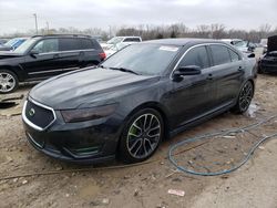 Ford salvage cars for sale: 2015 Ford Taurus SHO