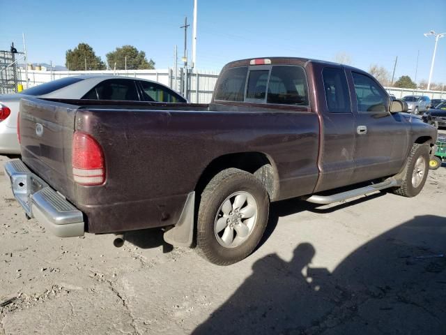 2004 Dodge Dakota SLT