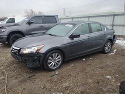 Salvage cars for sale at Chicago Heights, IL auction: 2012 Honda Accord EXL