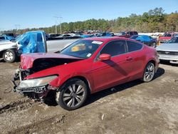 Honda Accord salvage cars for sale: 2010 Honda Accord EX