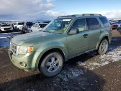 2008 Ford Escape XLT en venta en Helena, MT