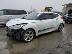 Salvage cars for sale at Eugene, OR auction: 2013 Hyundai Veloster