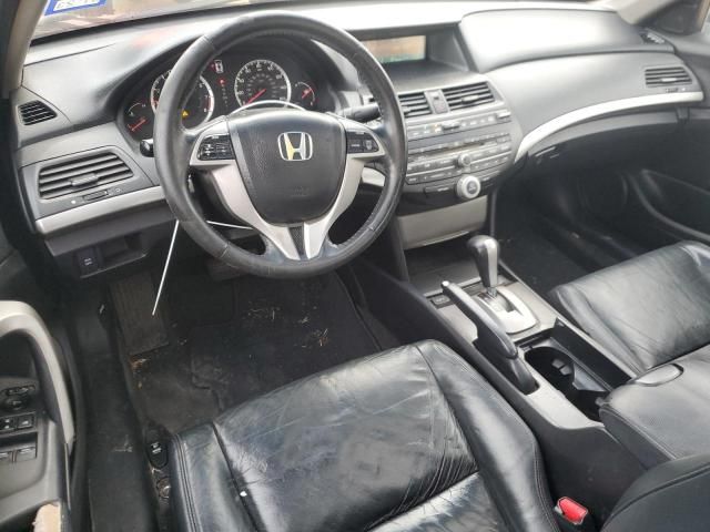 2008 Honda Accord EXL