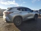 2024 Lexus NX 350 Base