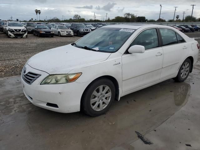 2008 Toyota Camry Hybrid