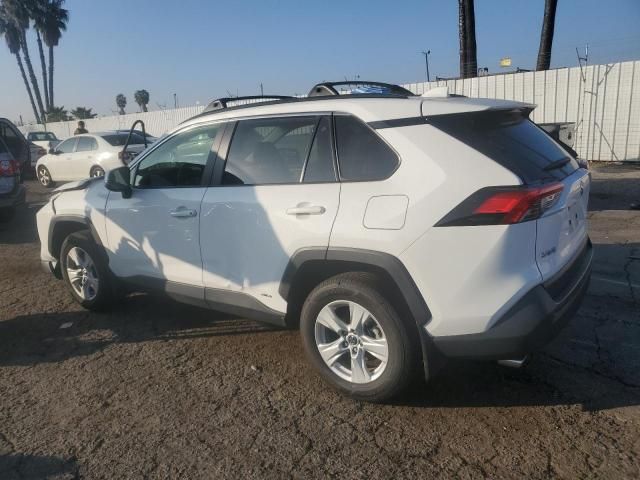 2019 Toyota Rav4 XLE