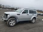 2010 Dodge Nitro SXT