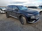 2023 Hyundai Santa FE Blue