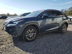 Salvage cars for sale at Riverview, FL auction: 2015 Lexus NX 200T