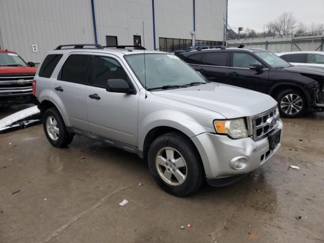 2011 Ford Escape XLT