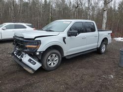 Salvage cars for sale at Cookstown, ON auction: 2024 Ford F150 XLT