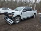 2024 Ford F150 XLT