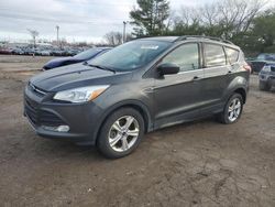 Ford Escape salvage cars for sale: 2016 Ford Escape SE