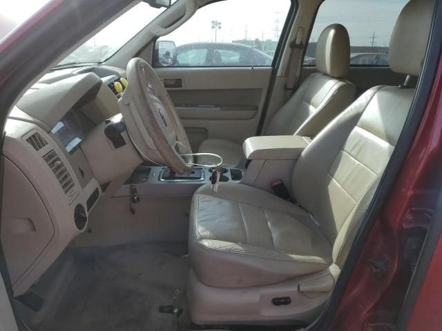 2009 Ford Escape XLT