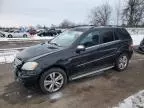 2010 Mercedes-Benz ML 350 Bluetec