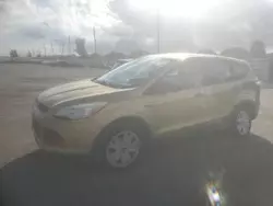 Salvage cars for sale at Miami, FL auction: 2014 Ford Escape S