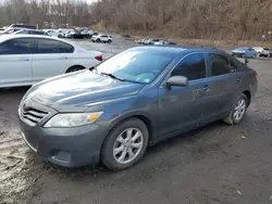 Toyota Camry Base Vehiculos salvage en venta: 2010 Toyota Camry Base