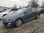 2014 KIA Optima Hybrid