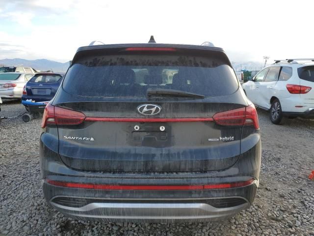 2023 Hyundai Santa FE Blue