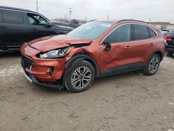 Salvage SUVs for sale at auction: 2020 Ford Escape SEL