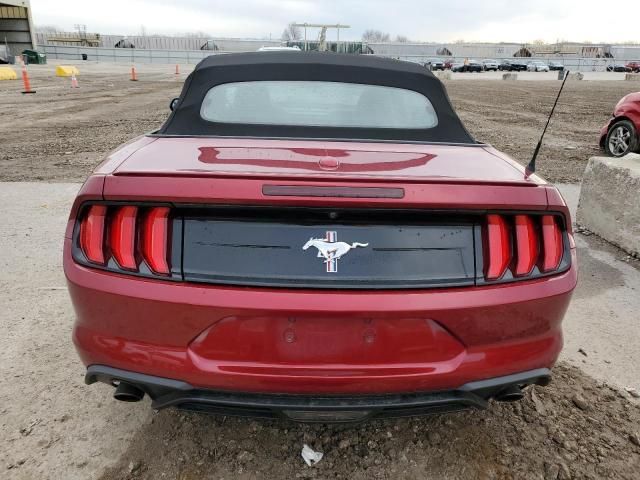 2019 Ford Mustang