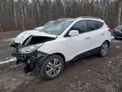 2015 Hyundai Tucson Limited en venta en Cookstown, ON