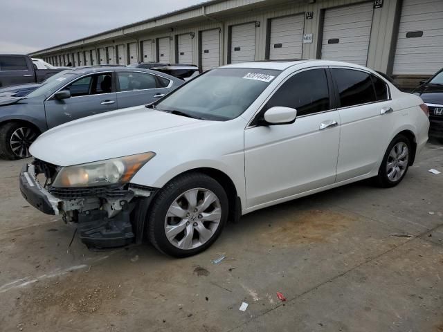 2008 Honda Accord EXL