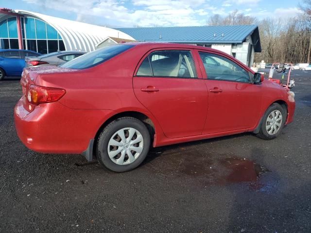 2010 Toyota Corolla Base