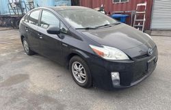 Toyota Prius salvage cars for sale: 2010 Toyota Prius