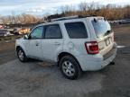 2009 Ford Escape Limited