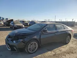 Toyota salvage cars for sale: 2016 Toyota Avalon XLE