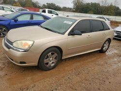 Salvage cars for sale at Theodore, AL auction: 2005 Chevrolet Malibu Maxx LT