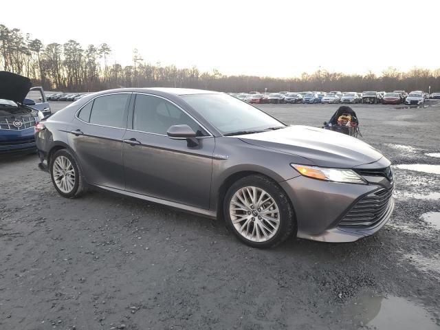 2019 Toyota Camry Hybrid