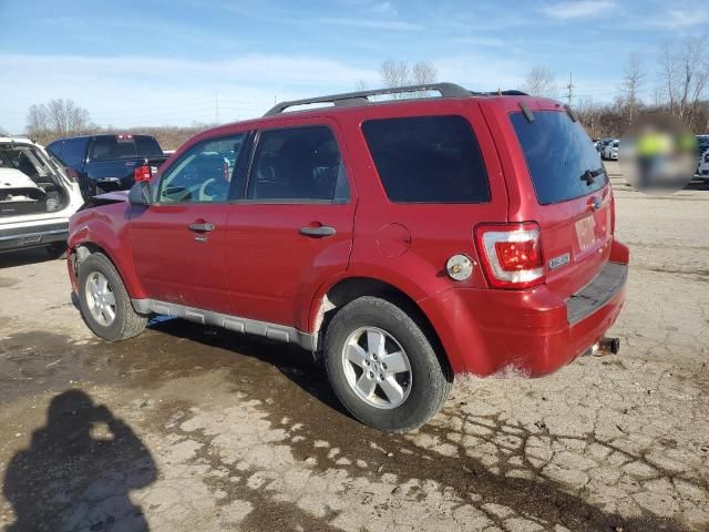 2009 Ford Escape XLT