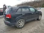 2011 KIA Sorento Base