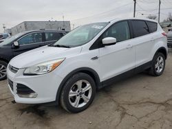 Salvage cars for sale at Chicago Heights, IL auction: 2014 Ford Escape SE